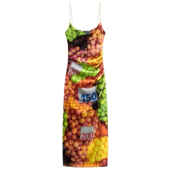 Zara Dresses & Skirts - NWT Zara Fruit Stand Mesh Midi /Maxi Dress Size Small